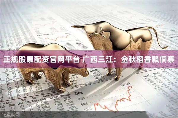 正规股票配资官网平台 广西三江：金秋稻香飘侗寨